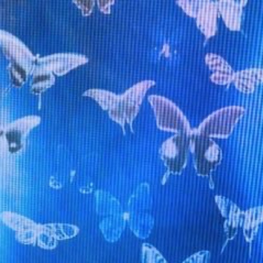 Meet your Posher, Kealy